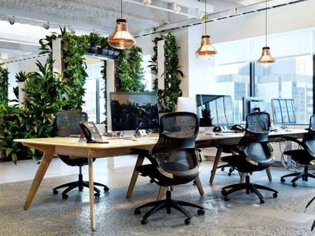 Biophilic 1